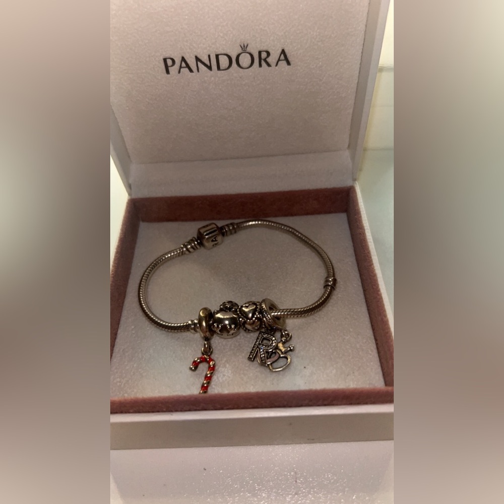 Pandora Bracelet